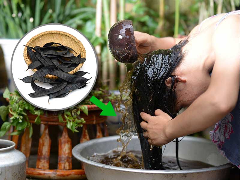 Cracking The Secrets Of Vietnamese Long Hair In Few Minutes