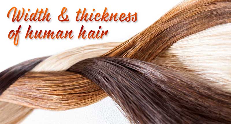 Width Of Human Hair: These Statistics Are Real!